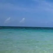 いーとん☆