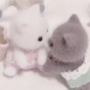 にゃにの画像