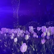 ❤︎の画像
