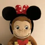 Image of どんちゃん