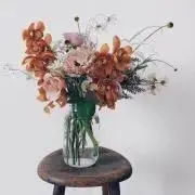 ひな