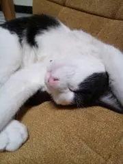 ojufuku722の画像