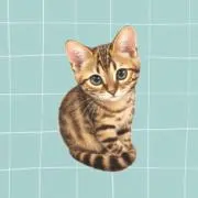 uniuniの画像