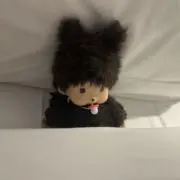 ✶の画像