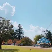 zの画像