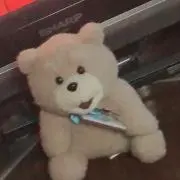 かにゃー