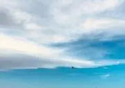 maruの画像