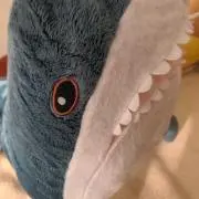 TAKUの画像