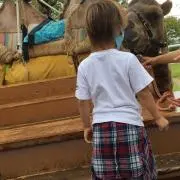 a.mamaの画像