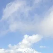 ハムの画像