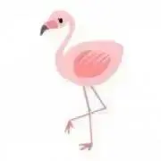 フラミンゴの画像