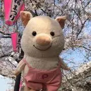 まるこの画像