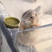 MMの画像