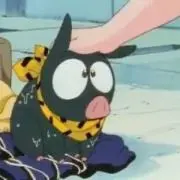 Pの画像