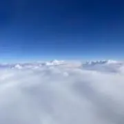 rii0524の画像