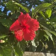 sy  \おまとめ買い大歓迎です！/の画像