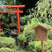 るるの画像