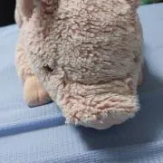 ぶたまる販売所