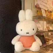 みふぃの画像