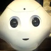 照り焼きの画像