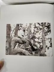 tiの画像