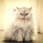 ミント