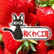 ☆和くわくSHOP☆本日限定タイムセールの画像