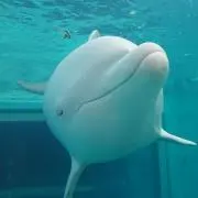 ぽょ★