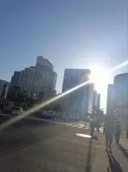Rinoの画像