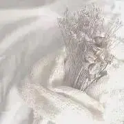 ゆるの画像