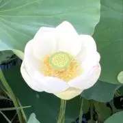 一二三の画像