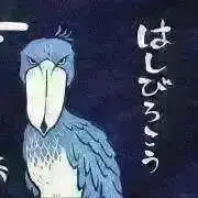 プロフに留意点あり☆こうの画像