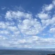 dmwtpg@aの画像