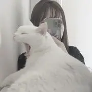 ゆびんの画像