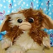 ポピーの画像