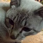 Kanaの画像