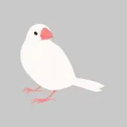 poluの画像