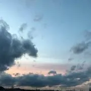 はちみつこうちん　24時間以内発送の画像