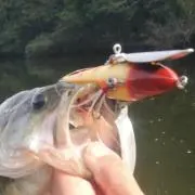 オブラ