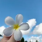 Tomomiの画像