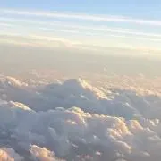 エッグマンたまごの画像