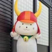 ディーさんの画像