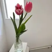 Haehi.・♥の画像