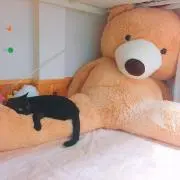 Kazuの画像