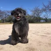 ゆう