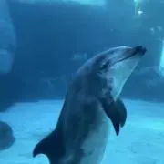 Good Night  ※プロフ必読※の画像