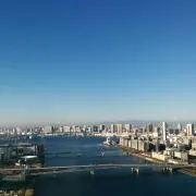 ソヨゴの画像