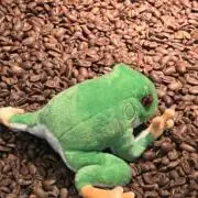 まなてぃー