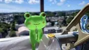 あおぞらの画像