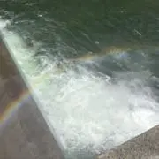 もこもこの画像
